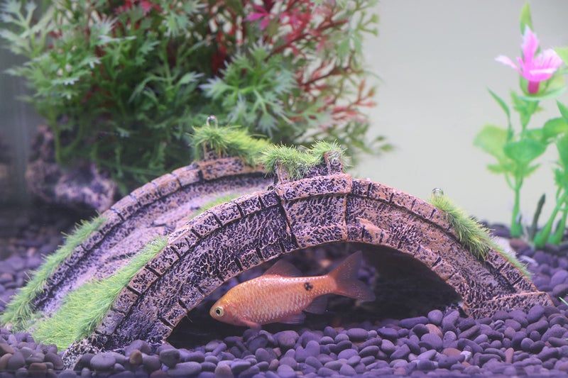 AQUA KT Fish Tank Decor Arch-Bridge Drawbridge with Grass for Aquarium Landscaping Decoration - Image 5